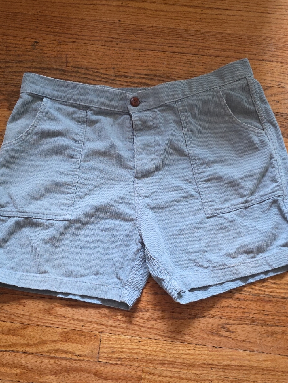 Birdwell Light Blue Corduroy Mens Sz 36